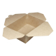 Take-Away Boxen Menüboxen ToGo aus Karton, 21.5x15.9x4.8cm, 25 Stk.