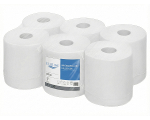 Ecoline Handtuchpapier Innenabrollung 2-lagig, hülsenlos, Zellstoff, 450 Abrisse, 6 Rollen